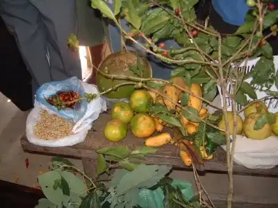 ボリビア　地域の作物