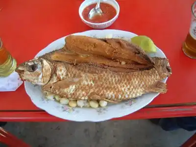 ボリビアの魚、サバロ